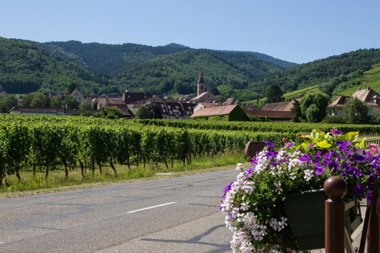 Hotel Berceau Du Vigneron Тюркхайм Экстерьер фото